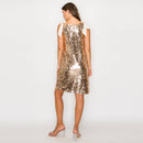Sparkle little star mini dress - CHAMPAGNE