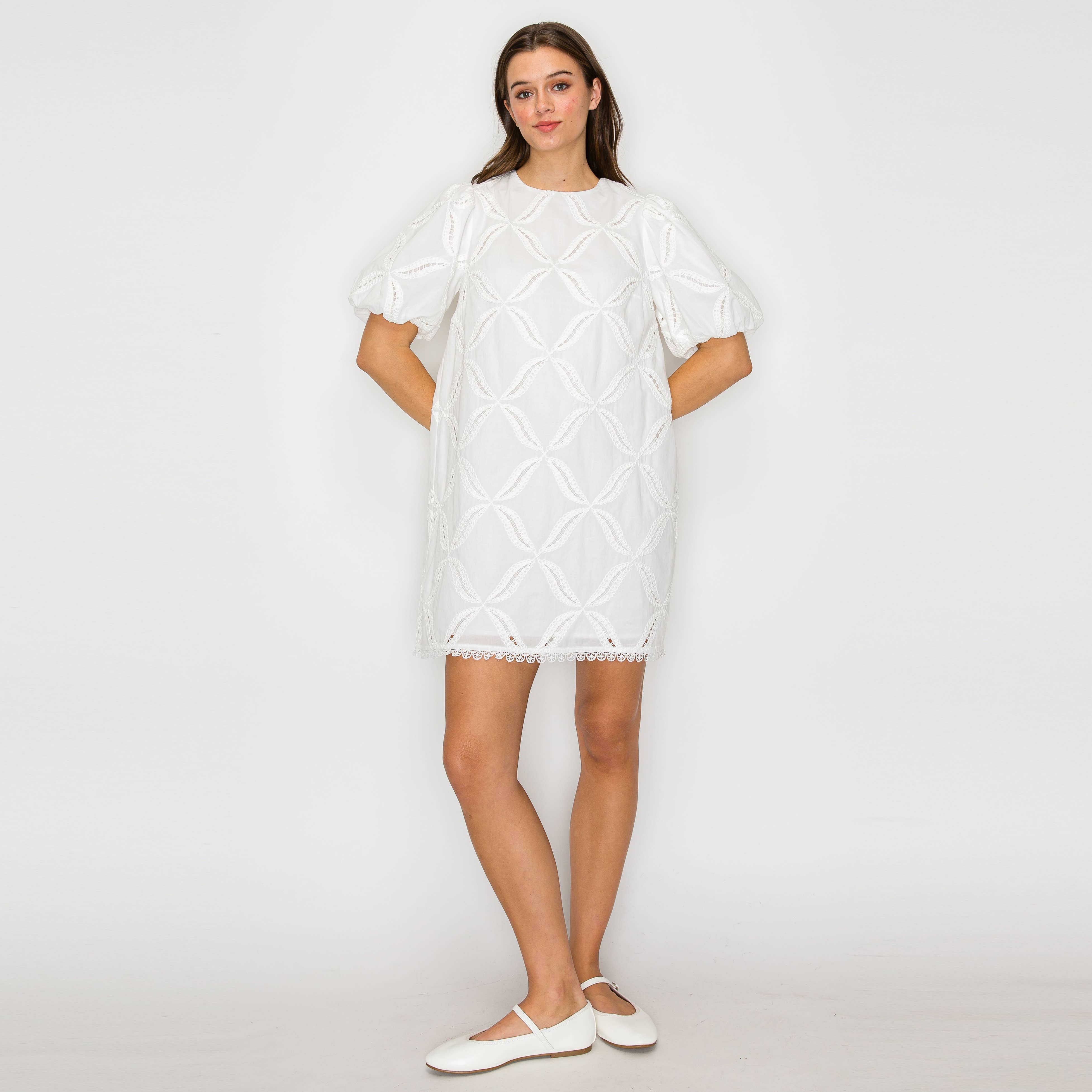 Pure White Cotton with Embroidery Mini Dress