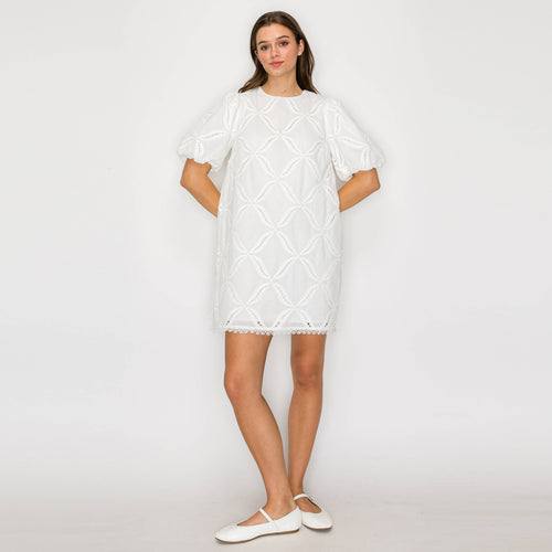 Pure White Cotton with Embroidery Mini Dress