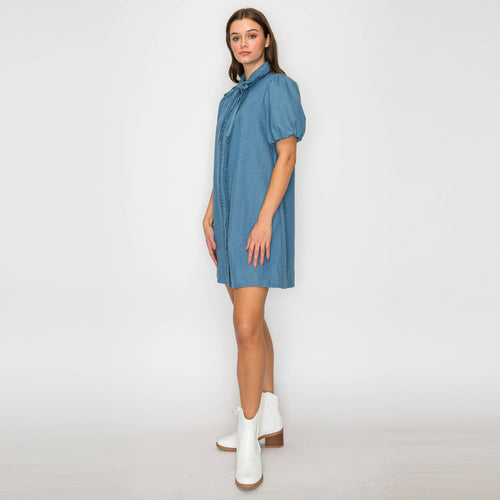 Ruffle Detail Collar Denim Mini Dress