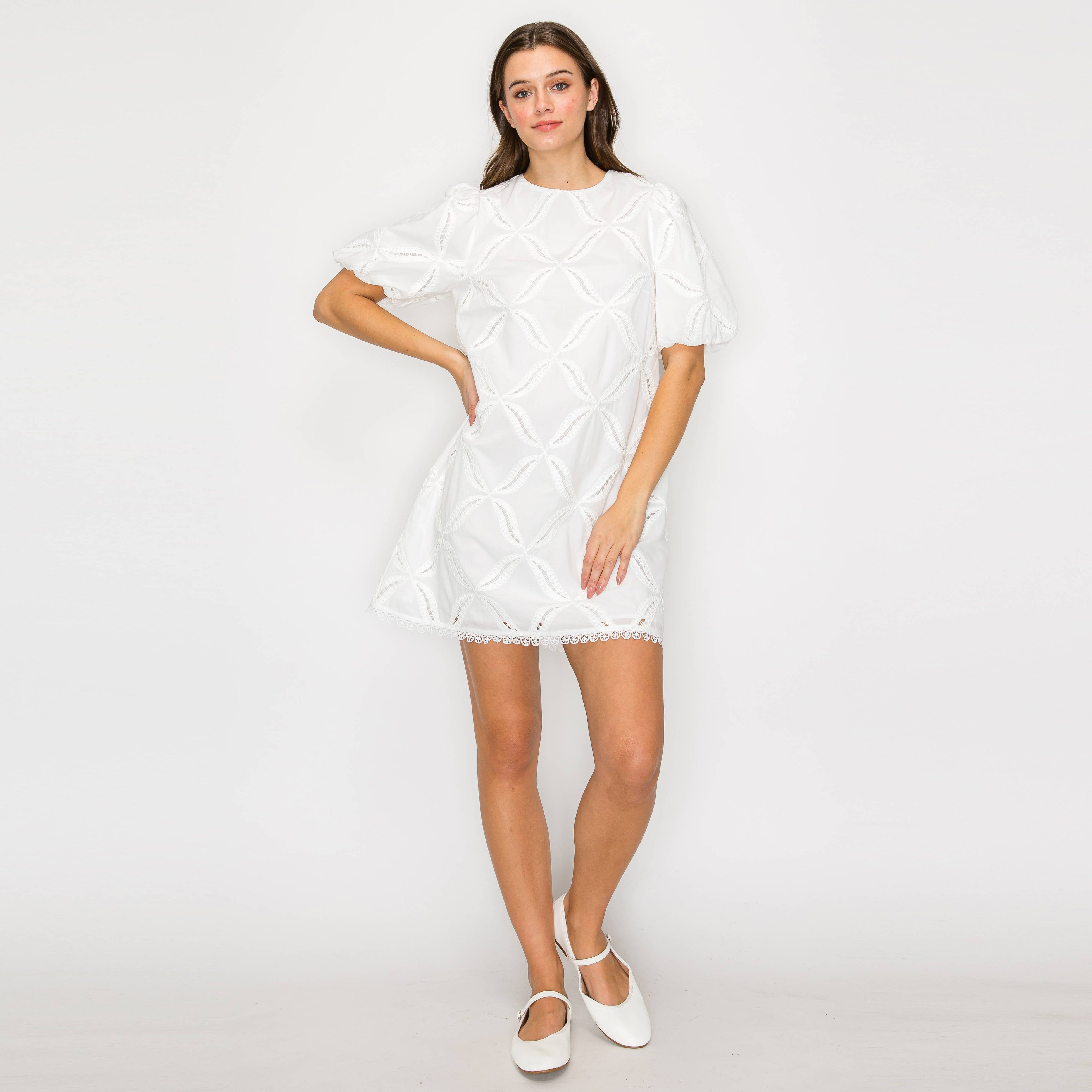 Pure White Cotton with Embroidery Mini Dress