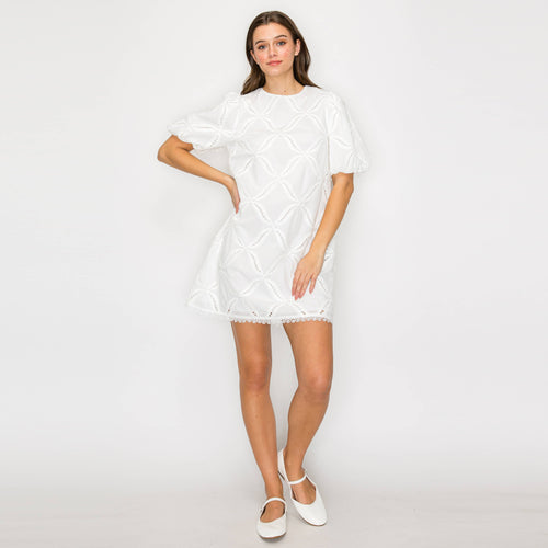 Pure White Cotton with Embroidery Mini Dress