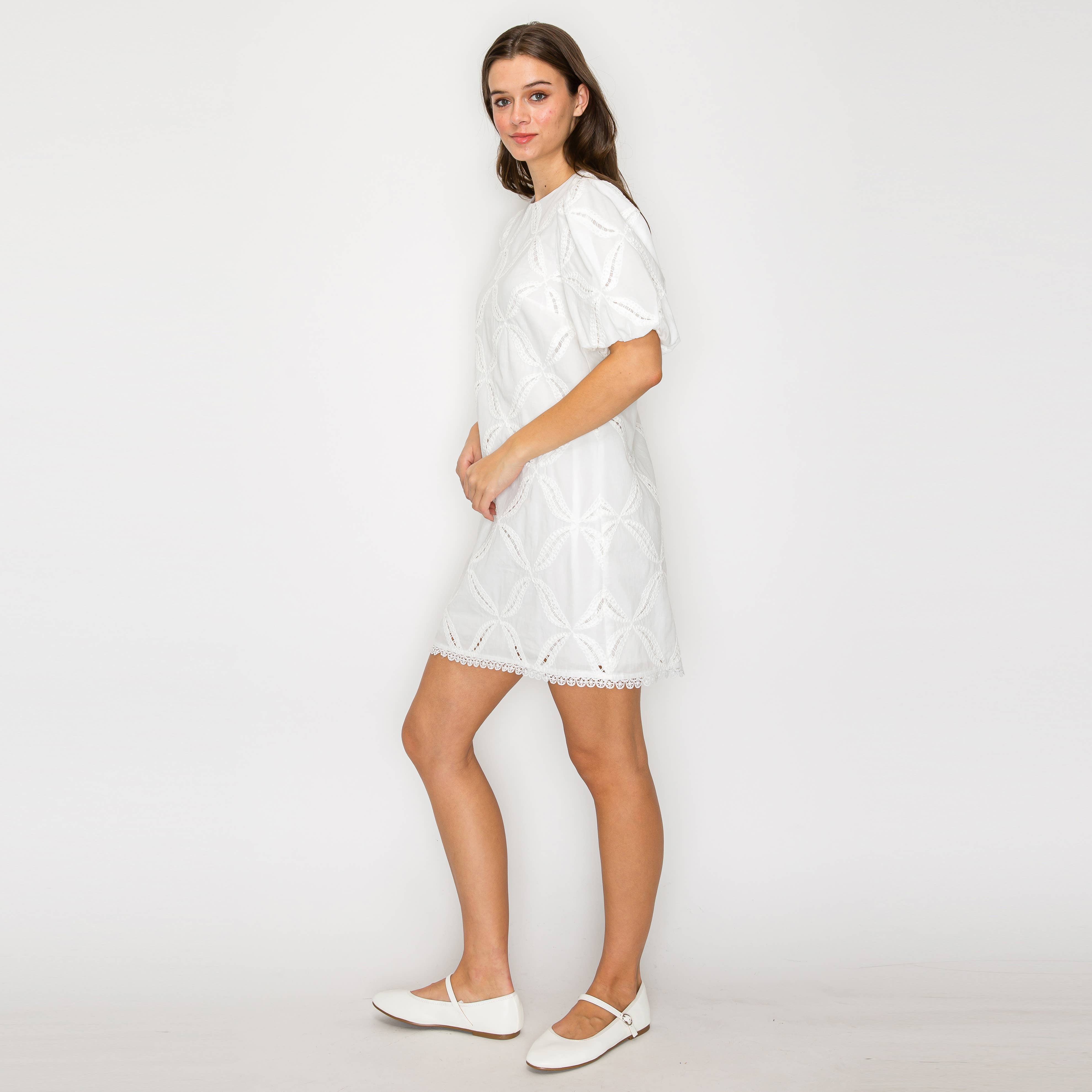Pure White Cotton with Embroidery Mini Dress