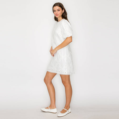 Pure White Cotton with Embroidery Mini Dress