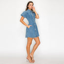 Modern Muse Denim Bubble Sleeve Dress