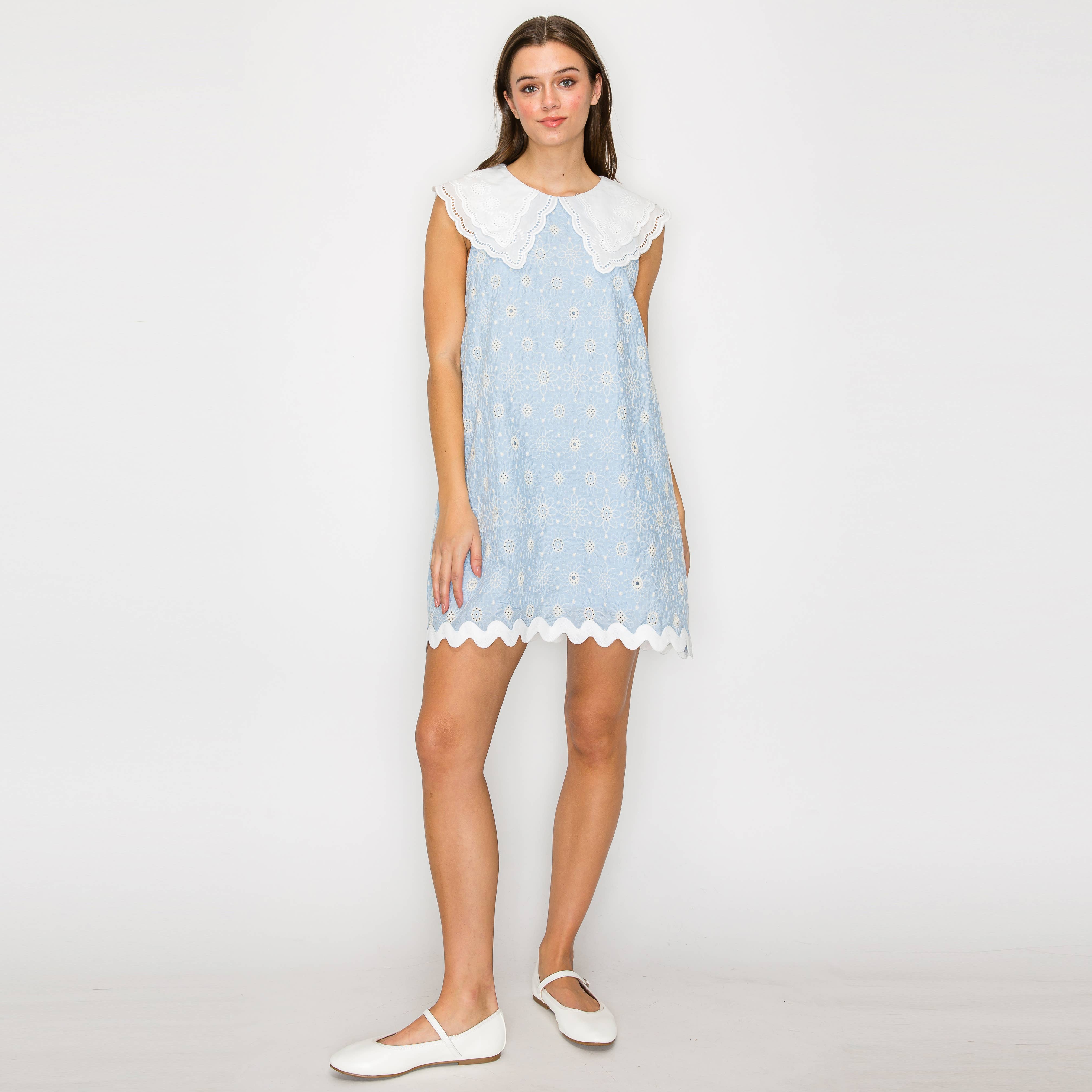 Lovely Mini Dress with Lace Collar