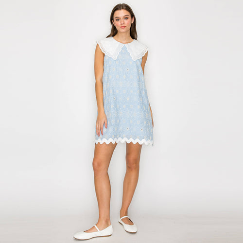 Lovely Mini Dress with Lace Collar